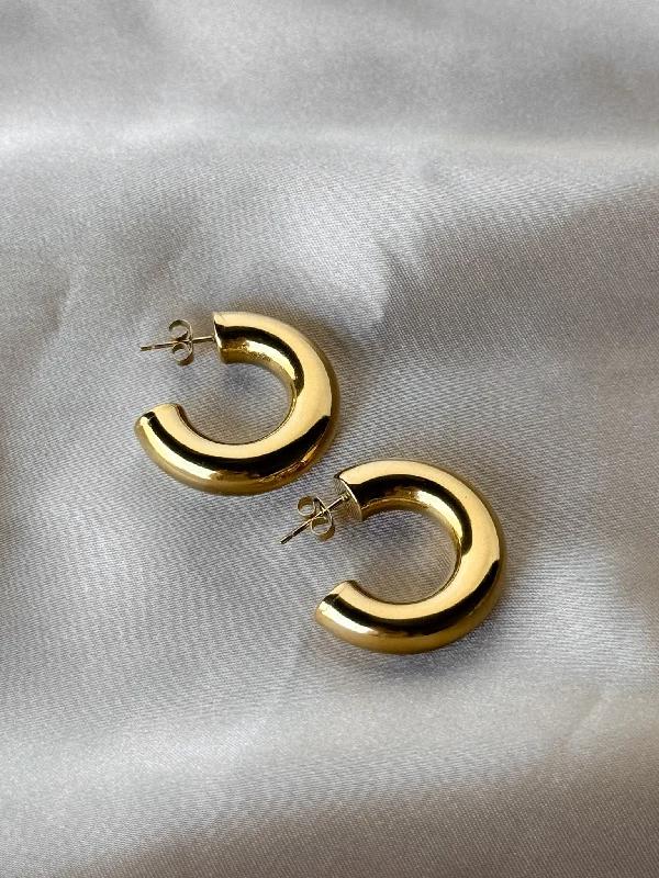 Gold Hoop Earrings