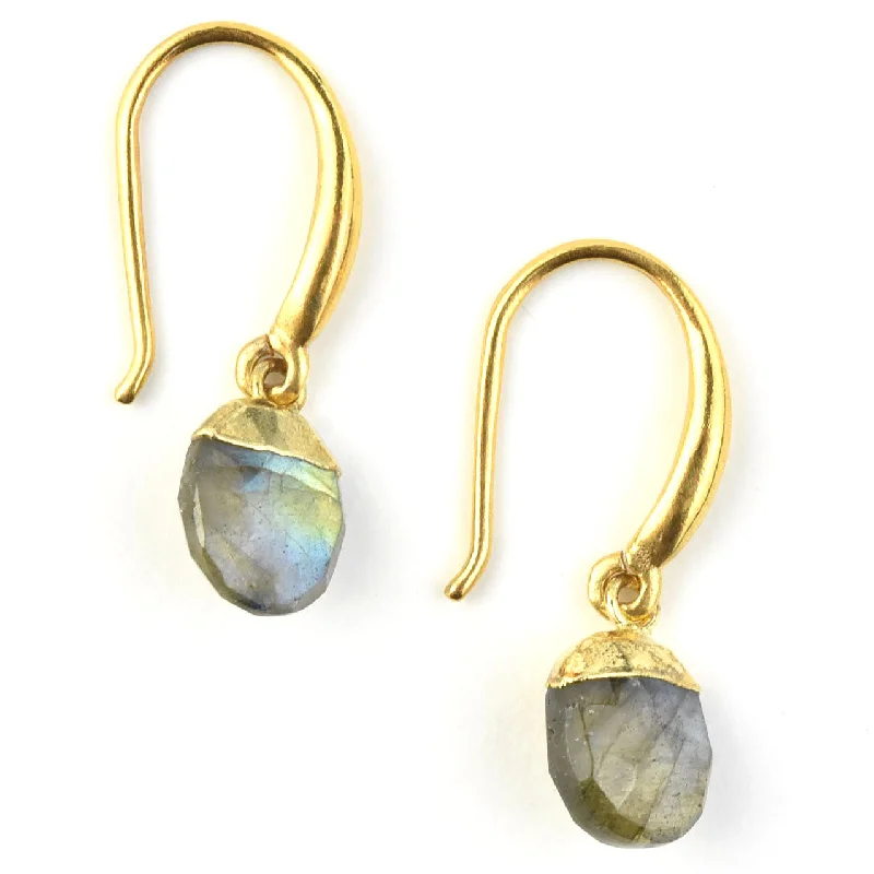 Labradorite Drop Earrings